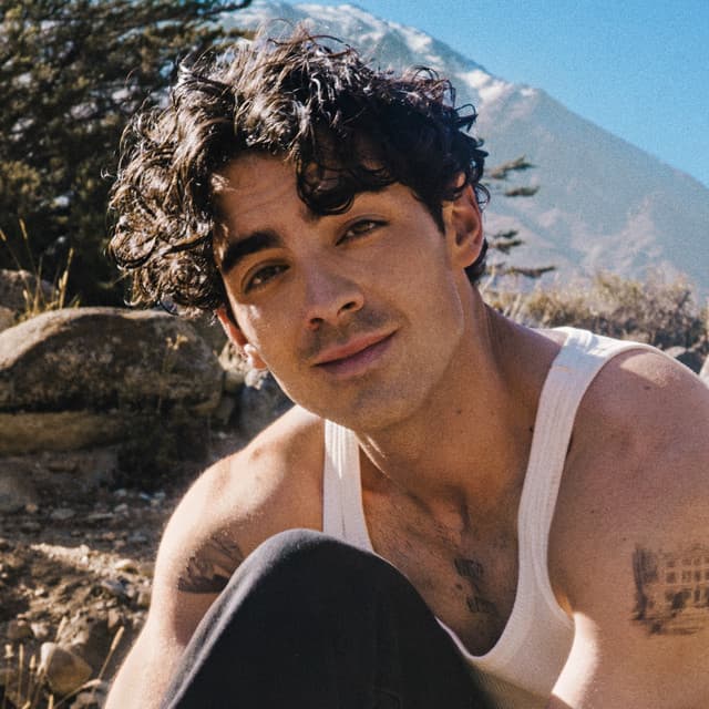 Joe Jonas image