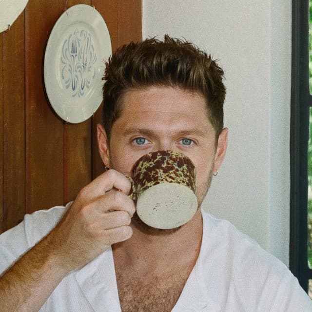 Niall Horan image