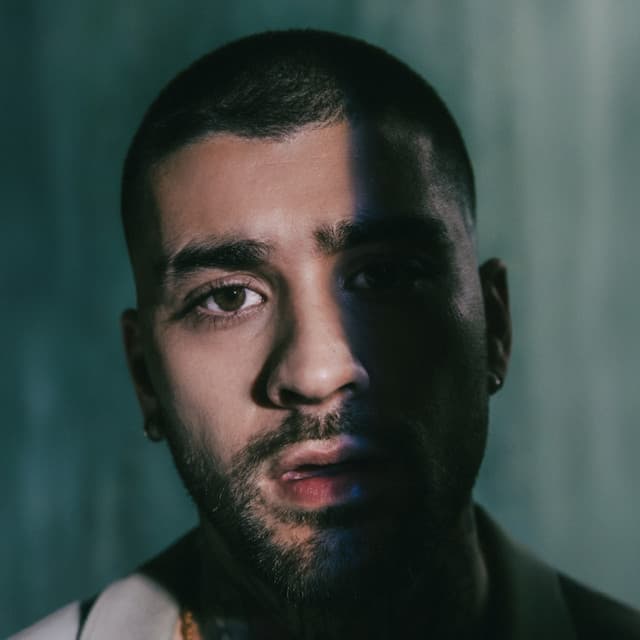 ZAYN image