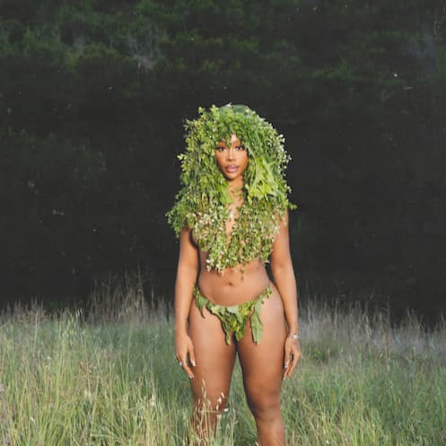 SZA image